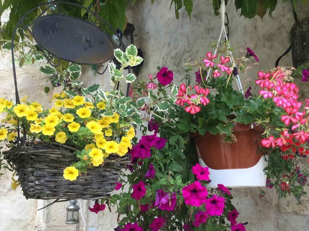 Le Clos De Fernande Corcelles-les-Arts エクステリア 写真