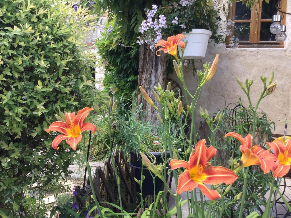 Le Clos De Fernande Corcelles-les-Arts エクステリア 写真